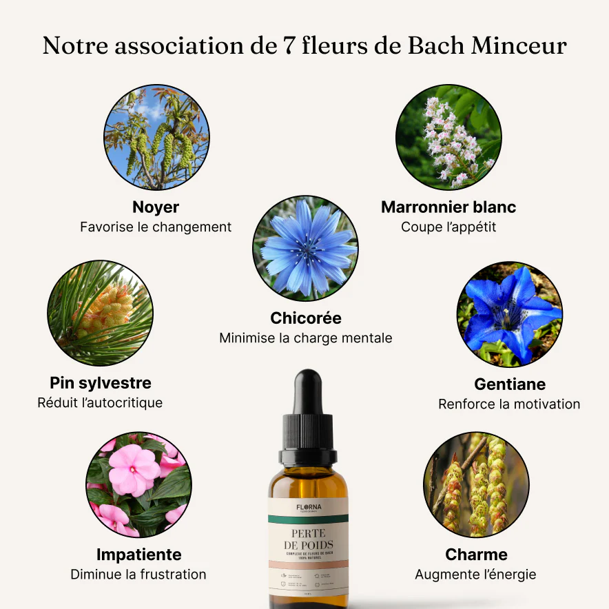 Miniature 6